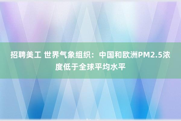 招聘美工 世界气象组织：中国和欧洲PM2.5浓度低于全球平均水平