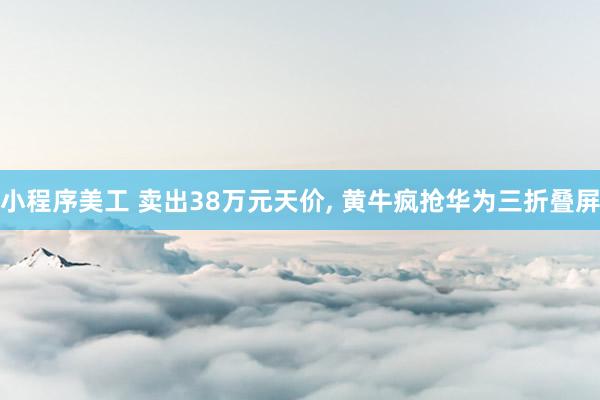 小程序美工 卖出38万元天价, 黄牛疯抢华为三折叠屏