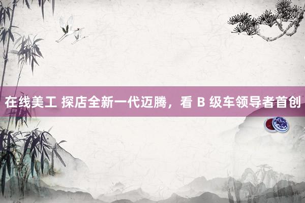 在线美工 探店全新一代迈腾，看 B 级车领导者首创