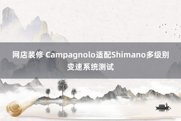 网店装修 Campagnolo适配Shimano多级别变速系统测试